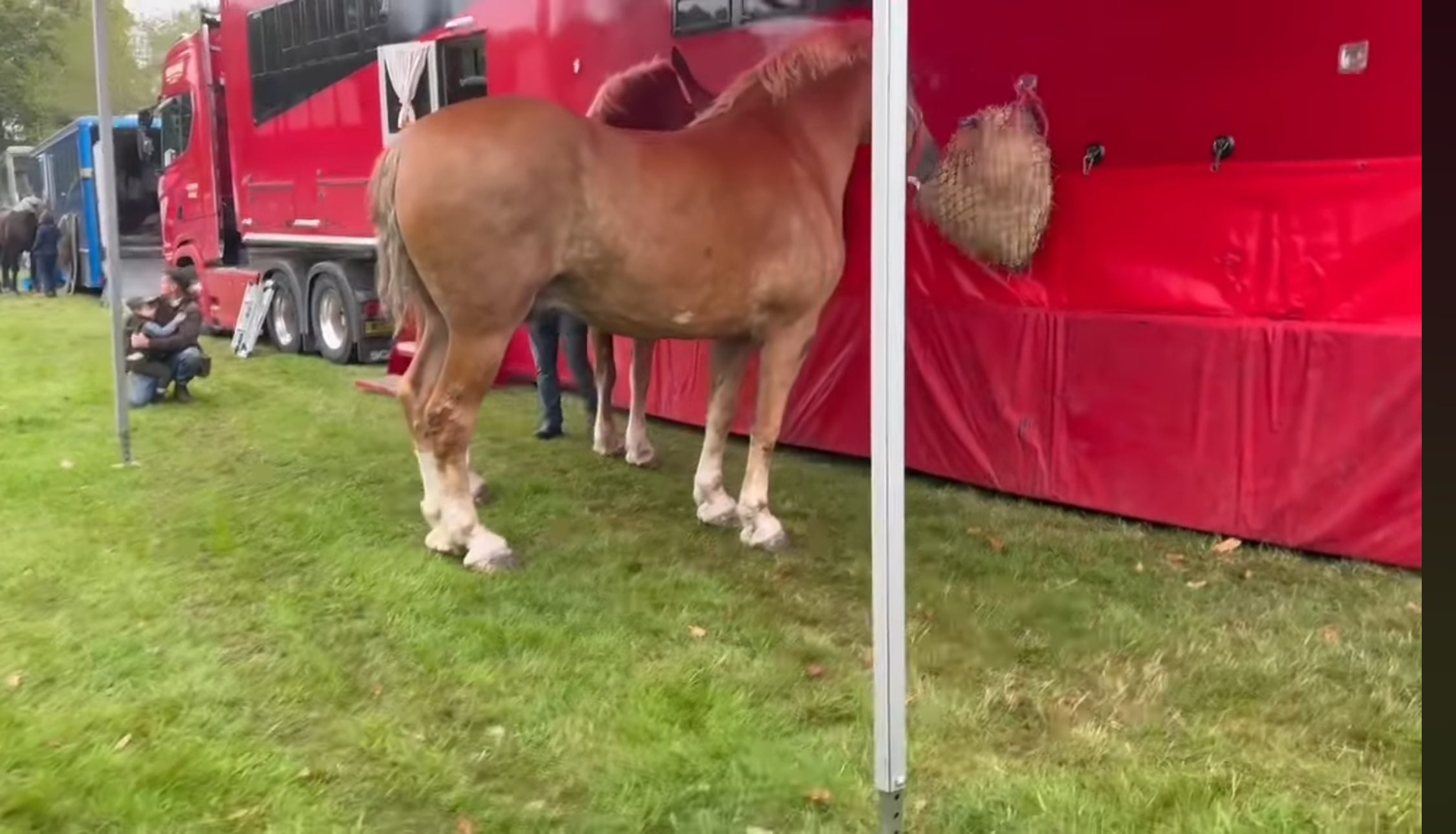 Frampton show